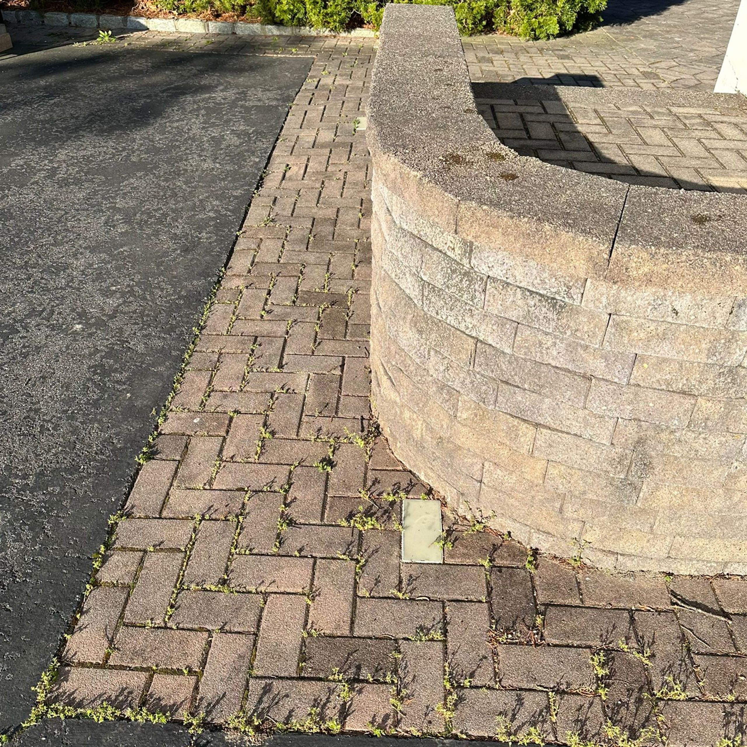 A curved stone retaining wall borders a walkway made of interlocking bricks, with small weeds growing between the bricks.